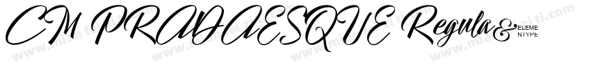 CM PRADAESQUE Regula字体转换